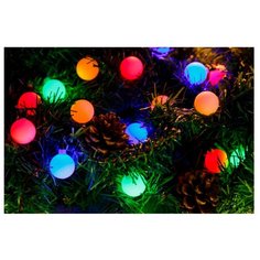 Гирлянда NEON-NIGHT Шарики, 30 LED, 500 см, 30 ламп, разноцветный/зеленый провод