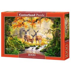 Пазл Castorland Королевская семья (C-104253), 1000 дет.