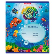 ErichKrause Тетрадь Мир из пластилина 46575, линейка, 18 л.