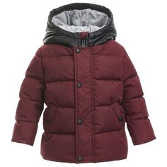 Куртка Gulliver Baby размер 74, бордовый