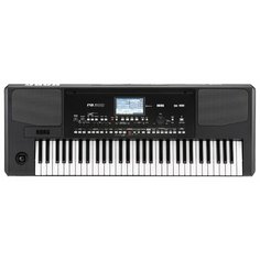 Синтезатор KORG Pa300 черный