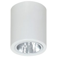 Спот Luminex Downlight Round 7234