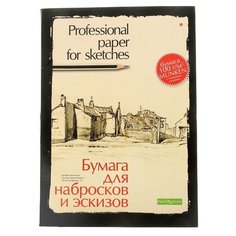 Папка для эскизов и набросков Альт Professional paper for sketches 42 х 29.7 см (A3), 100 г/м², 20 л.