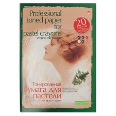 Папка для пастели, гуаши и темперы Альт Professional toned paper for pastel crayons 29.7 х 21 см (A4), 160 г/м², 20 л.