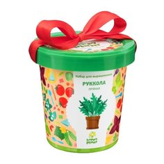Набор для выращивания Happy Plant Горшок подарочный Руккола пряная