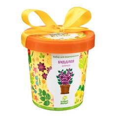 Набор для выращивания Happy Plant Горшок подарочный Буддлея Давида