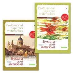 Папка для акварели Альт Professional paper for watercolors 42 х 29.7 см (A3), 200 г/м², 8 л.
