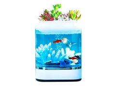 Аквариум Xiaomi Geometrc Lazy Fish Tank HF-JHYG005