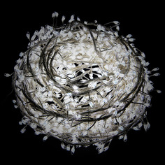 Гирлянда уличная Lotti minicluster 1000microleds