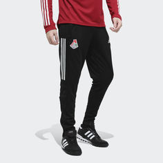 Тренировочные брюки ФК Локомотив adidas Performance