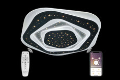 Светильник потолочный 81015 Natali Kovaltseva