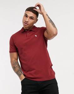 Abercrombie online fitch polo