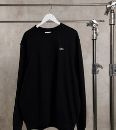 Черный свитшот с круглым вырезом и логотипом Lacoste