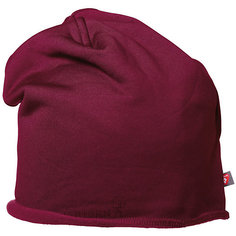 Шапка Isbjörn Isbjorn