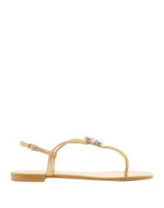 Вьетнамки Giuseppe Zanotti