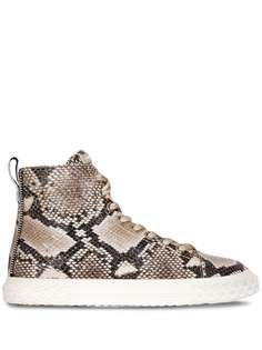 Giuseppe Zanotti snakeskin-effect high-top trainers