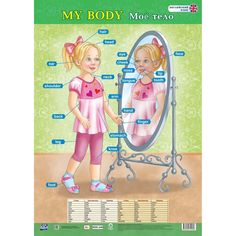 Плакат Издательство Учитель Английский язык. My body. Моё тело