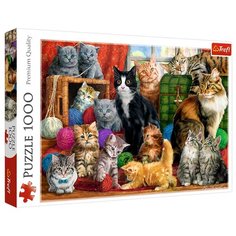 Пазл Trefl Кошачья встреча (10555), 1000 дет.