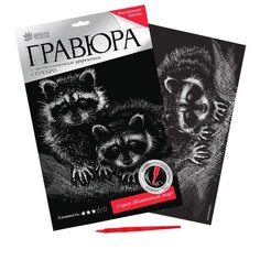 Гравюра Школа талантов Еноты (2147949) серебристая основа