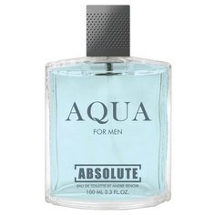 Туалетная вода Today Parfum Aqua Absolut, 100 мл