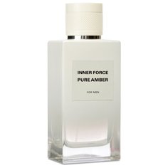 Туалетная вода Glenn Perri Inner Force Pure Amber, 100 мл