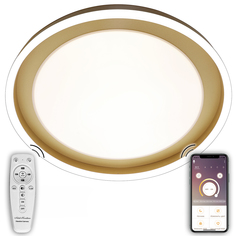 Потолочная люстра 120W Natali Kovaltseva, LED LAMPS 81301
