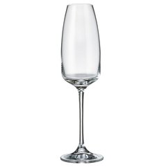 Бокалы для шампанского 290 мл 2 шт "Ализэ" Crystalite Bohemia