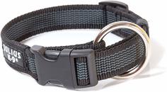 Ошейник для собак повседневный Julius-K9 Color & Gray, обхват шеи 52 см