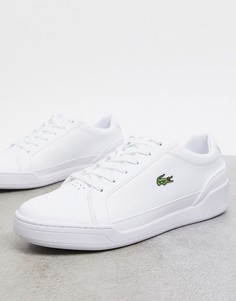 Белые кожаные кроссовки Lacoste Challenge-Белый