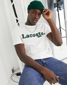 Белая футболка с большим логотипом и крокодилом на груди Lacoste-Белый