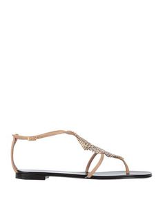 Вьетнамки Giuseppe Zanotti