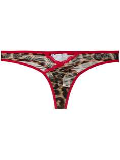 Just Cavalli leopard print thong