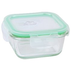 ROSENBERG Контейнер 0.32 л RGL-230130 прозрачный/зеленый
