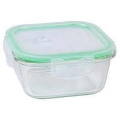 ROSENBERG Контейнер RGL-230131 0.52 л зеленый/прозрачный
