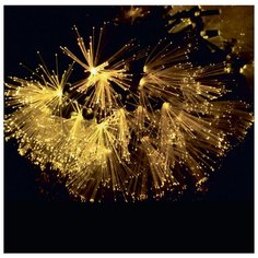 Гирлянда Sh Lights Кисточки, 517 см, 48 ламп, желтые диоды/черный провод