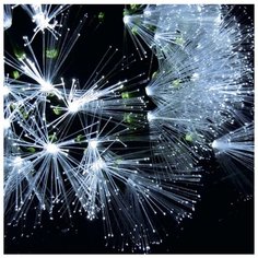 Гирлянда Sh Lights Кисточки, 517 см, 48 ламп, белые диоды/черный провод