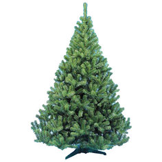 Царь елка Ель Рояль 2.1