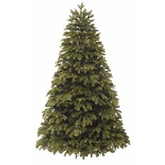 Царь елка Ель Северное Сияние 1.5