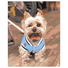 Живопись по номерам Картина по номерам z69281 40x50 см