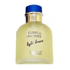 Туалетная вода Новая Заря Light Breeze pour Homme, 100 мл