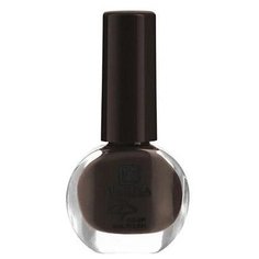 Лак Parisa Ballet Mini, 6 мл, оттенок №93 темный кофе матовый