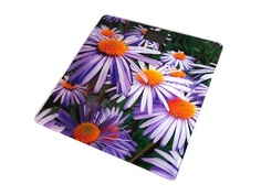 Весы напольные Добрыня DO-3006А Альпийская астра