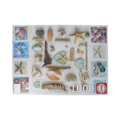 Пазл Educa Коллаж. Ракушки 1000 деталей