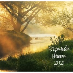 Календарь настенный перекидной Природа (дизайн 1) на 2021 год Канц Эксмо