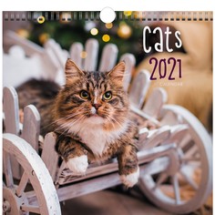 Календарь перекидной Домашние любимцы (дизайн 2) на 2021 год Канц Эксмо