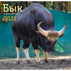 Календарь настенный перекидной Символ года (дизайн 1) на 2021 год Канц Эксмо