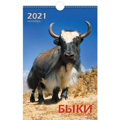 Календарь одноблочный средний Символ года (дизайн 1) на 2021 год Канц Эксмо