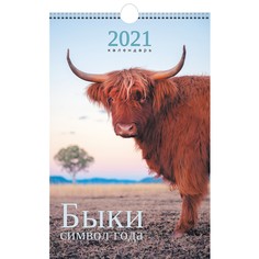 Календарь одноблочный средний Символ года (дизайн 3) на 2021 год Канц Эксмо