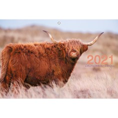 Календарь трехблочный Символ года (дизайн 1) на 2021 год Канц Эксмо