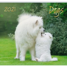 Календарь одноблочный Домашние любимцы (дизайн 1) на 2021 год Канц Эксмо